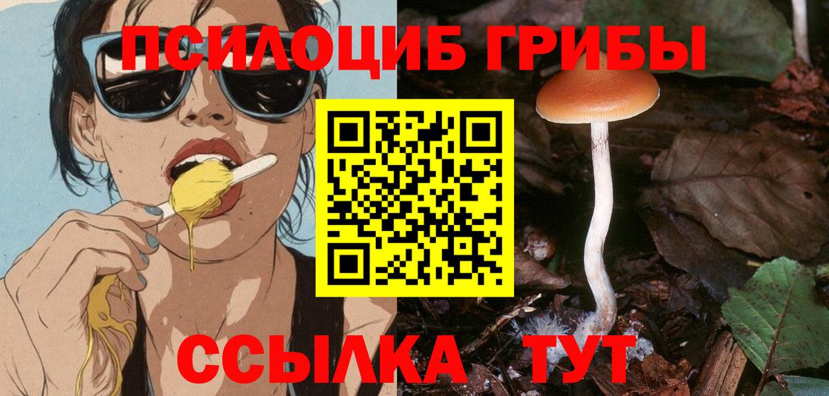 Галлюциногенные грибы ЛСД  Вход с VPN  Волоколамск 